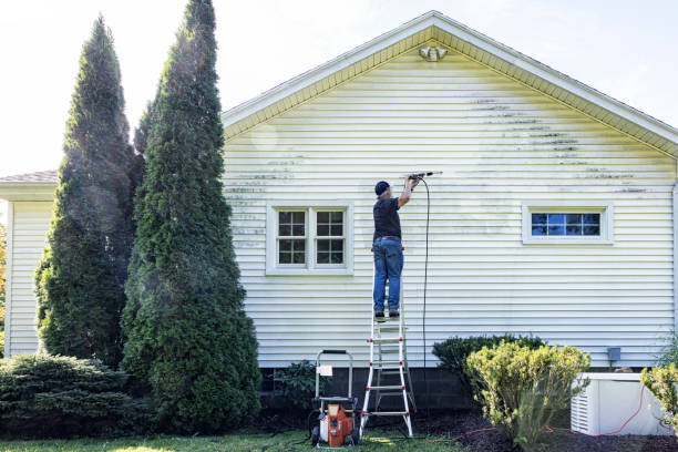 Animal Enclosure Cleaning in Bethany, IL